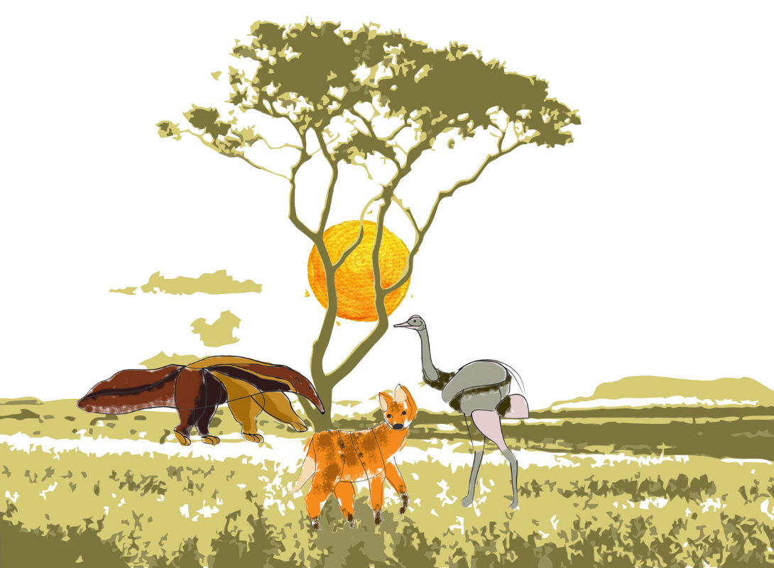 Seja um Guardião da Natureza